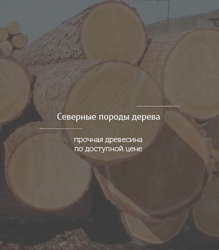 Главная Главная